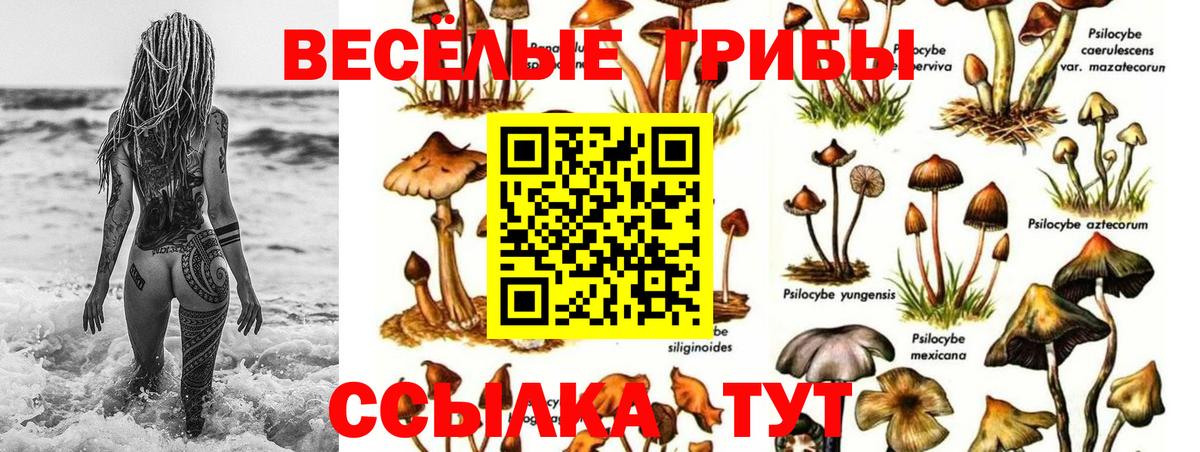 Богданович  Галлюциногенные грибы прущие грибы  купить закладку  Вход с VPN 