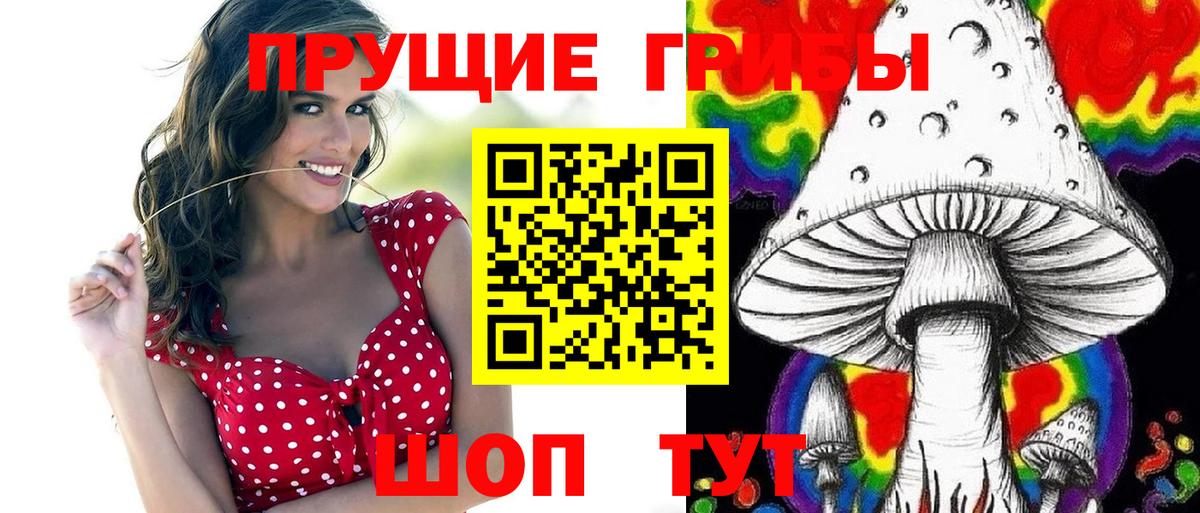 Псилоцибиновые грибы Cubensis Богданович